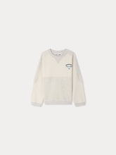 Load image into Gallery viewer, Lael embroidered heather grey sweatshirt

