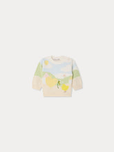Load image into Gallery viewer, Almire hand-embroidered chick sweater in organic cotton

