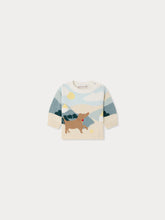 Load image into Gallery viewer, Almire hand-embroidered dog sweater in organic cotton
