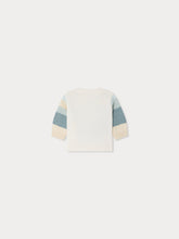 Load image into Gallery viewer, Almire hand-embroidered dog sweater in organic cotton
