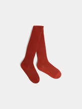 Load image into Gallery viewer, Banny brown cotton tights
