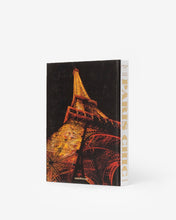 Load image into Gallery viewer, Paris Chic - ASSOULINE
