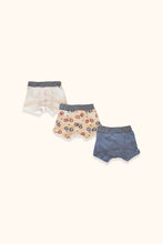 Load image into Gallery viewer, Petit Bateau Fitted Cotton Brief Trio

