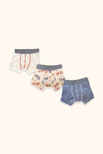 Load image into Gallery viewer, Petit Bateau Fitted Cotton Brief Trio
